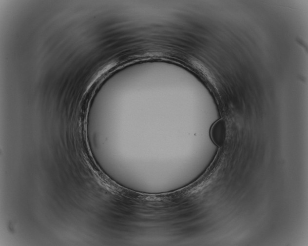 X0000094950827200711291103