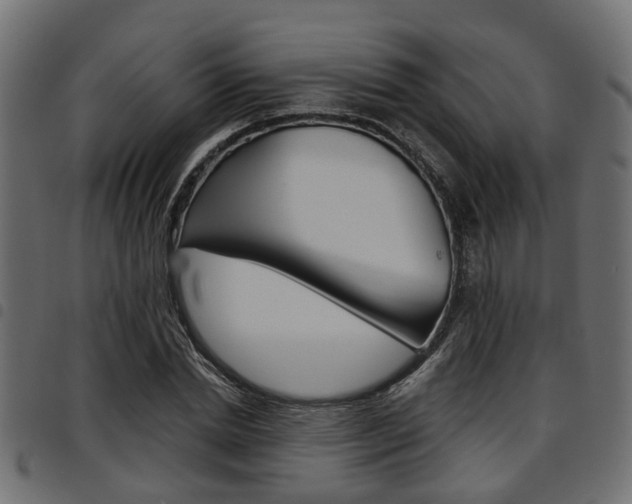 X0000094950830200711291103
