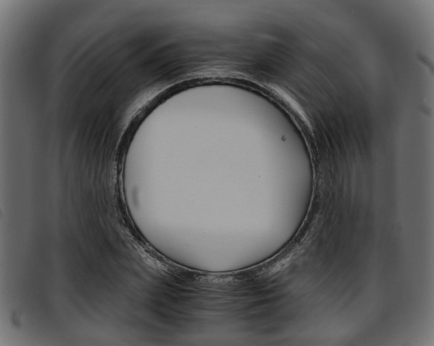 X0000094950831200711291103