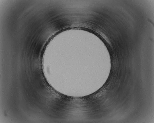 X0000094950832200711291103