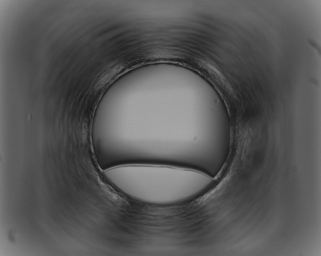 X0000094950833200711291103