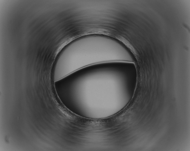 X0000094950834200711291103