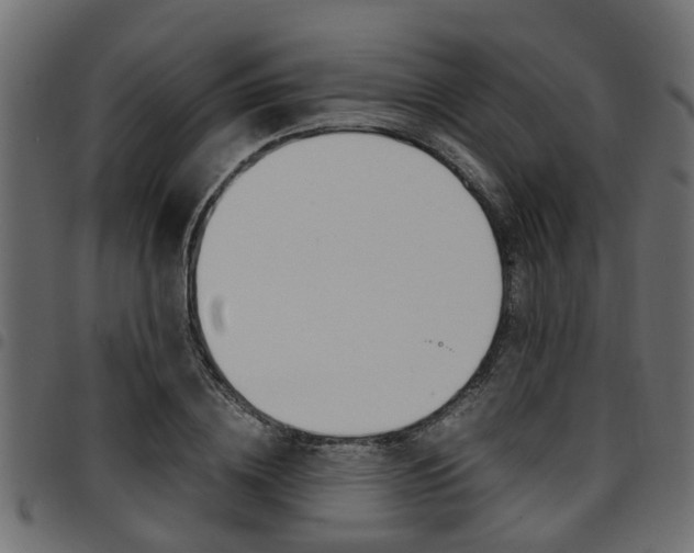 X0000094950836200711291103
