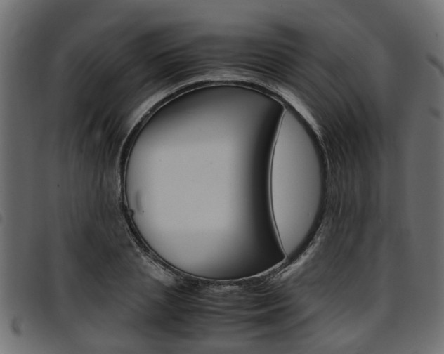 X0000094950837200711291103