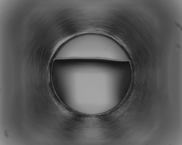 X0000094950838200711291103