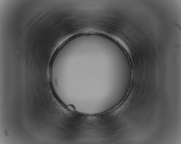 X0000094950839200711291103
