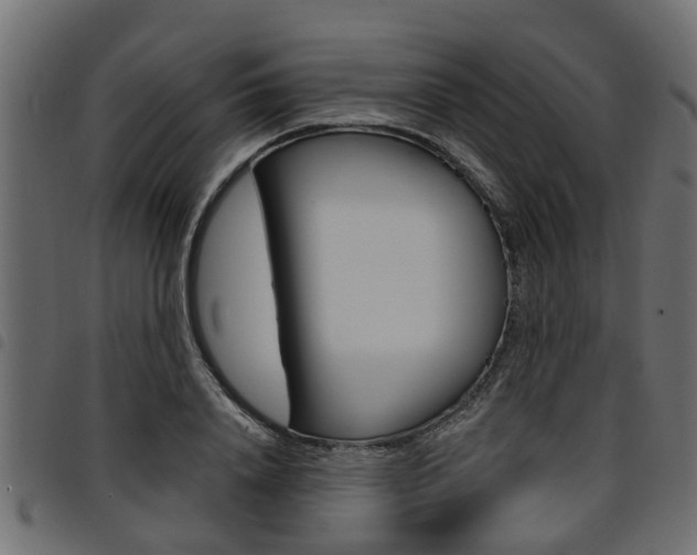 X0000094950840200711291103