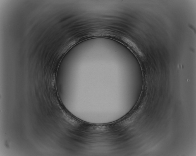 X0000094950841200711291103