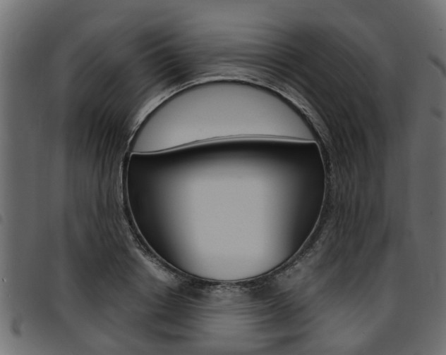 X0000094950842200711291103