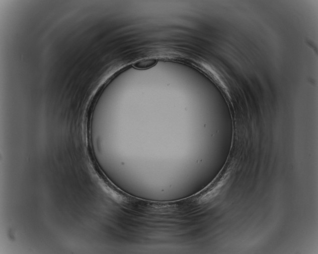 X0000094950843200711291103