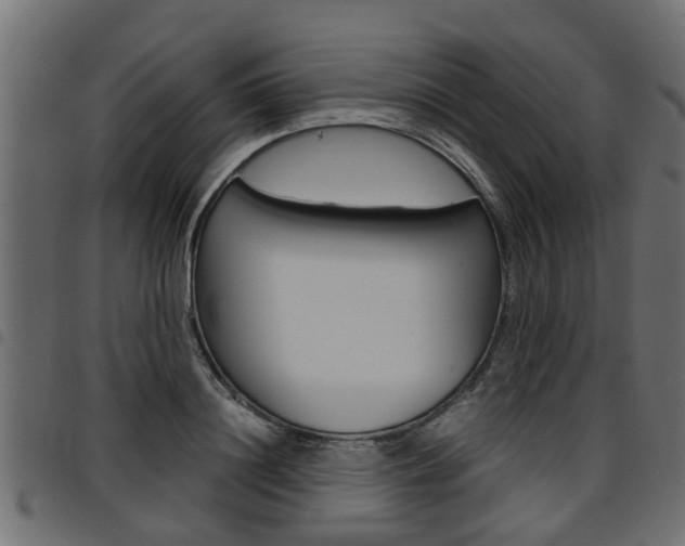 X0000094950844200711291103