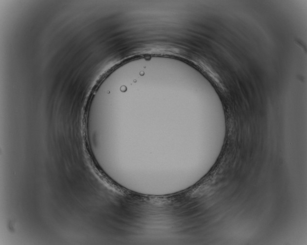 X0000094950848200711291103
