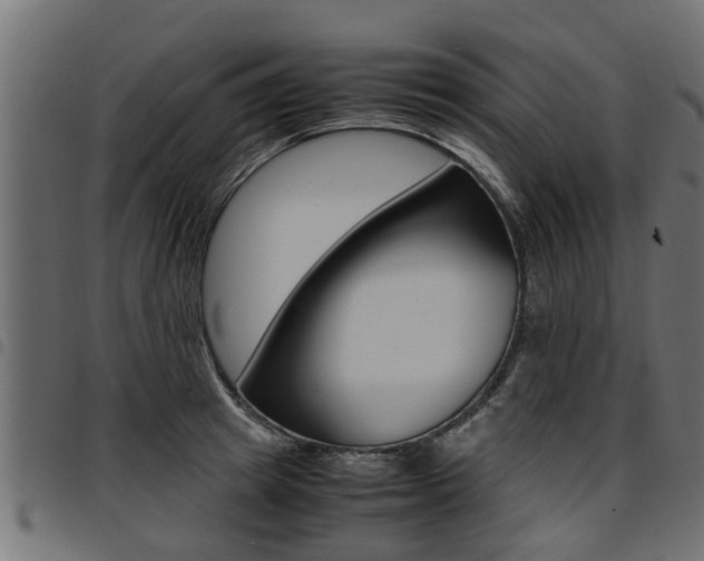 X0000094950849200711291103