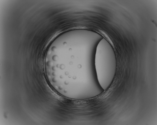 X0000094950851200711291103