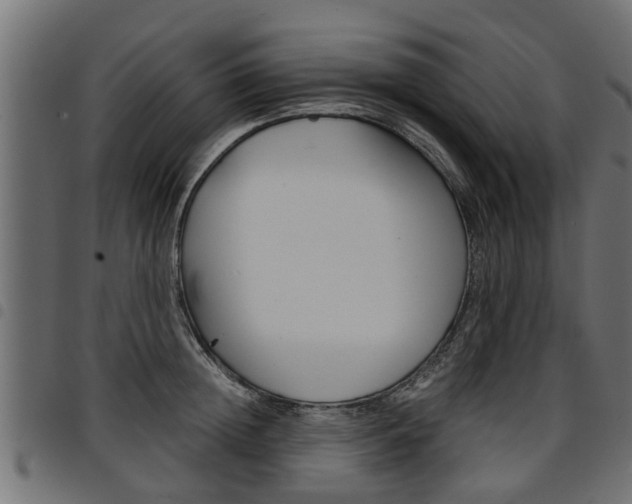 X0000094950852200711291103