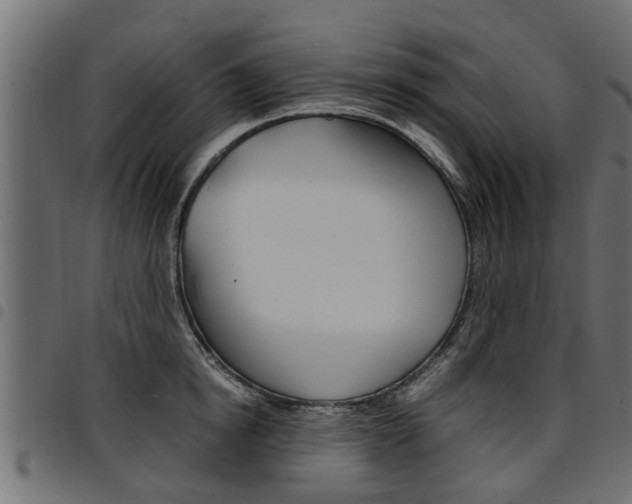 X0000094950854200711291103