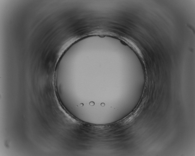 X0000094950855200711291103