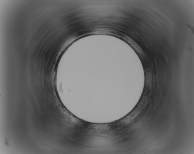 X0000094950856200711291103