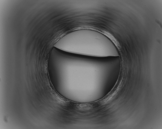 X0000094950857200711291103