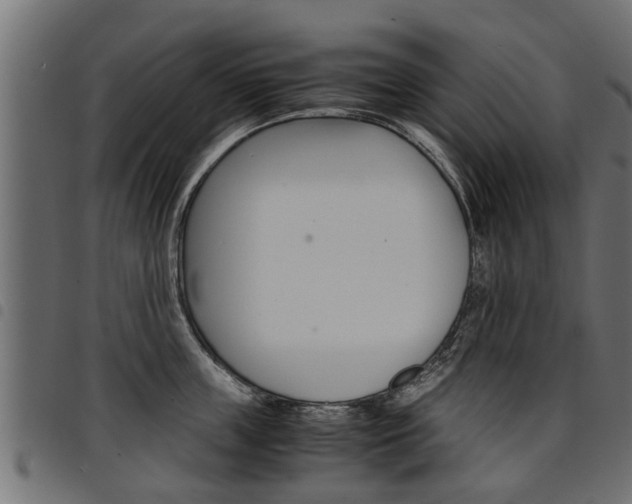 X0000094950859200711291103