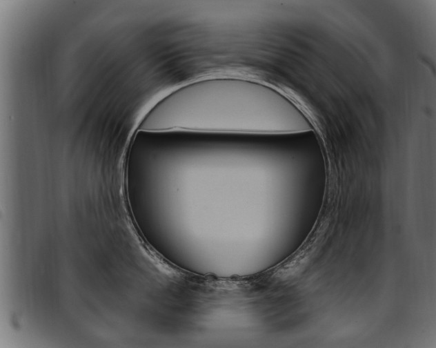 X0000094950862200711291103