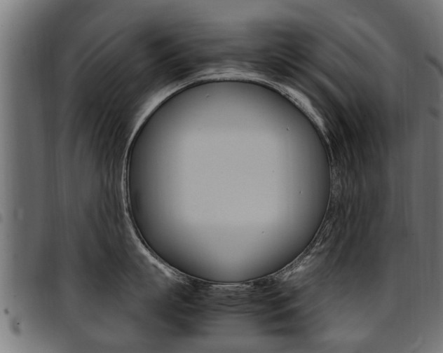 X0000094950863200711291103
