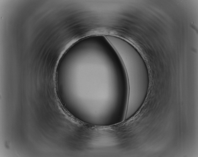 X0000094950864200711291103