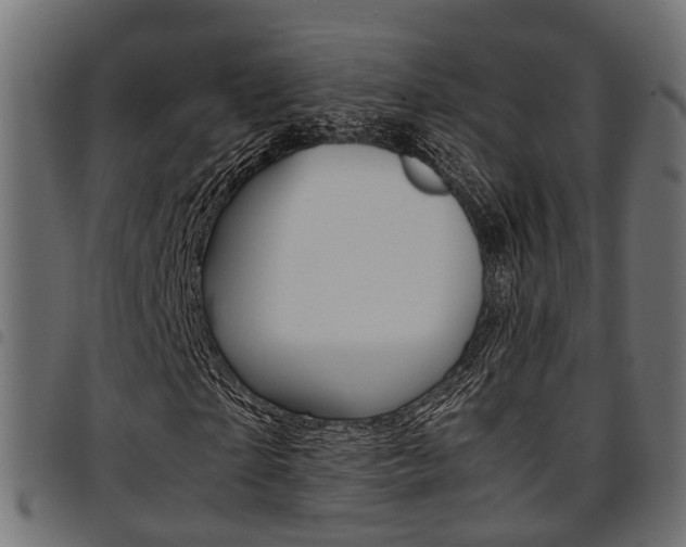 X0000094950865200711291103