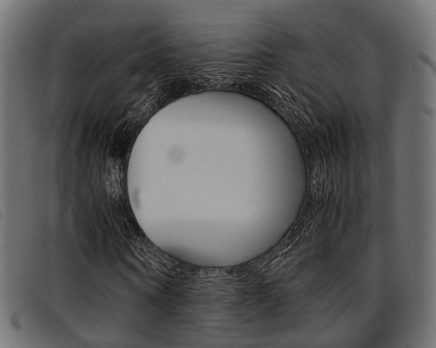 X0000094950866200711291103