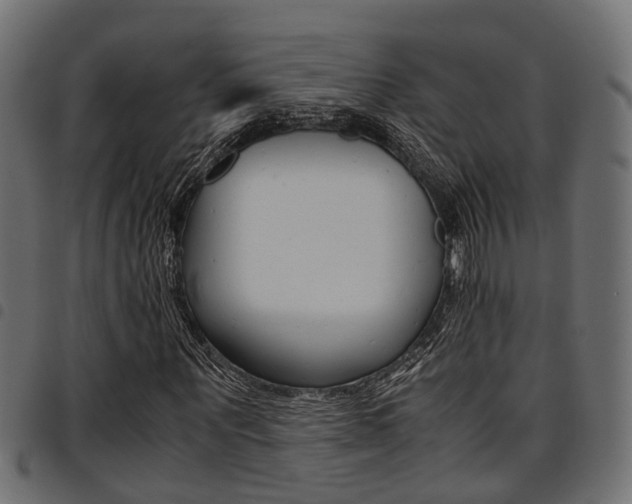 X0000094950867200711291103