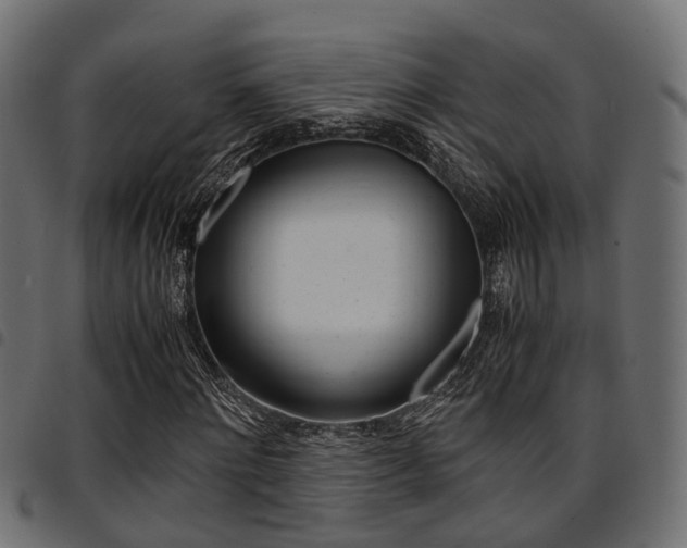 X0000094950868200711291102