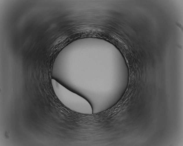 X0000094950869200711291102