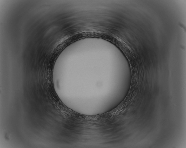 X0000094950870200711291102