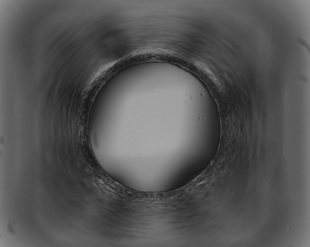 X0000094950872200711291102