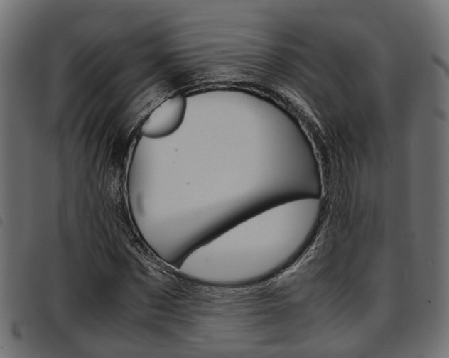 X0000094950873200711291102