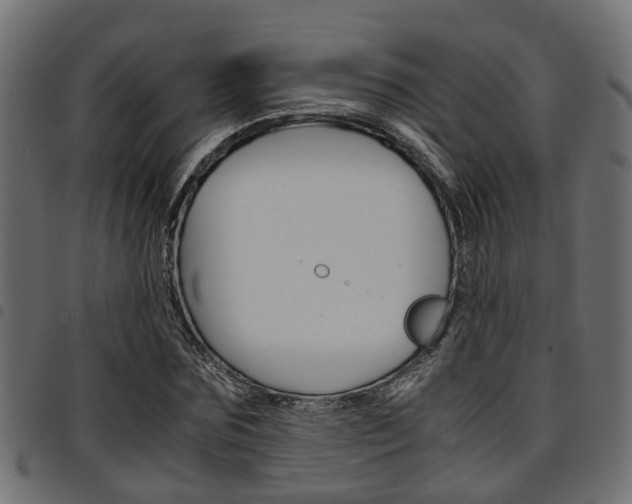 X0000094950875200711291102