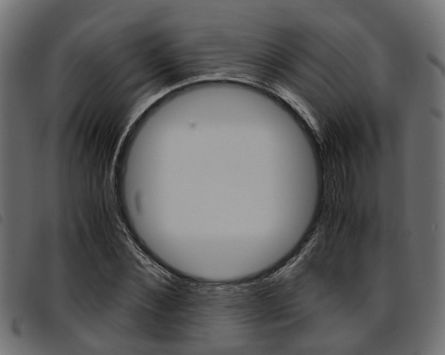 X0000094950876200711291102
