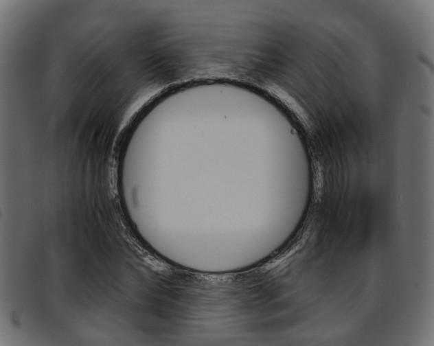 X0000094950878200711291102