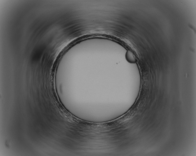 X0000094950879200711291102
