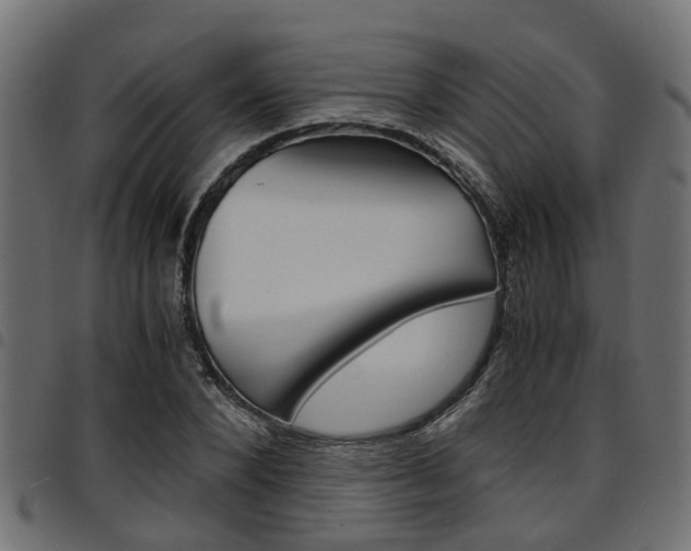 X0000094950880200711291102