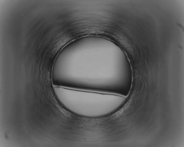 X0000094950881200711291102