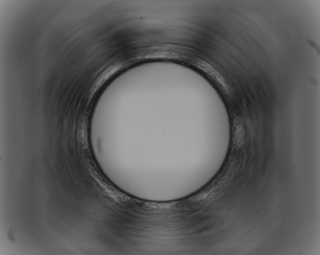 X0000094950882200711291102