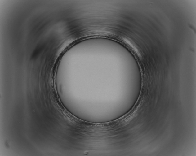 X0000094950883200711291102