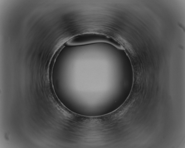X0000094950884200711291102