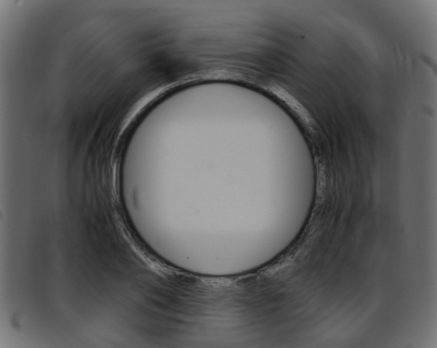 X0000094950886200711291102