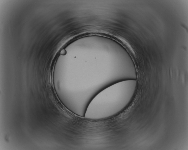X0000094950887200711291102