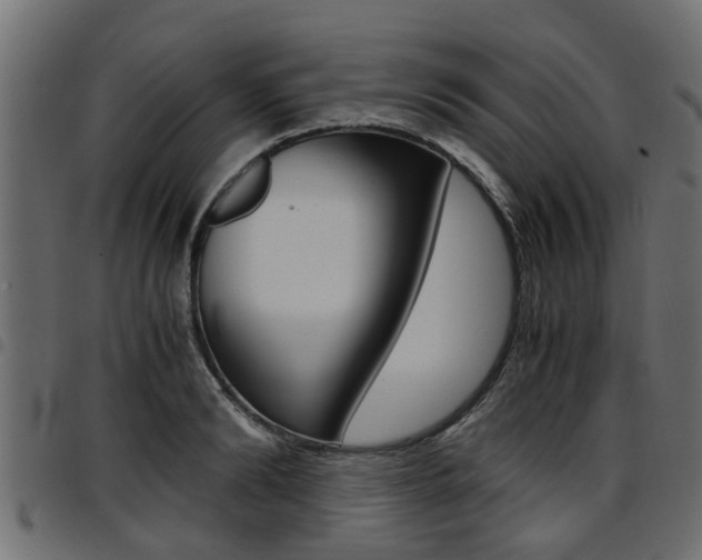 X0000094950894200711291102