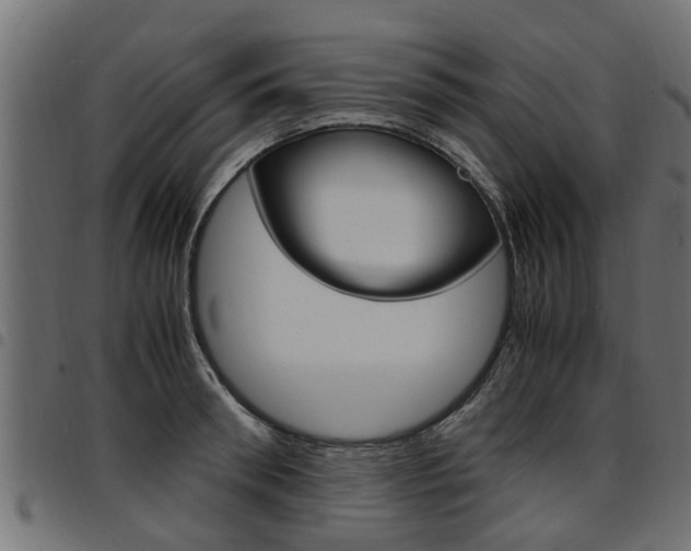 X0000094950898200711291102