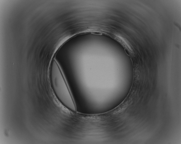 X0000094950900200711291102