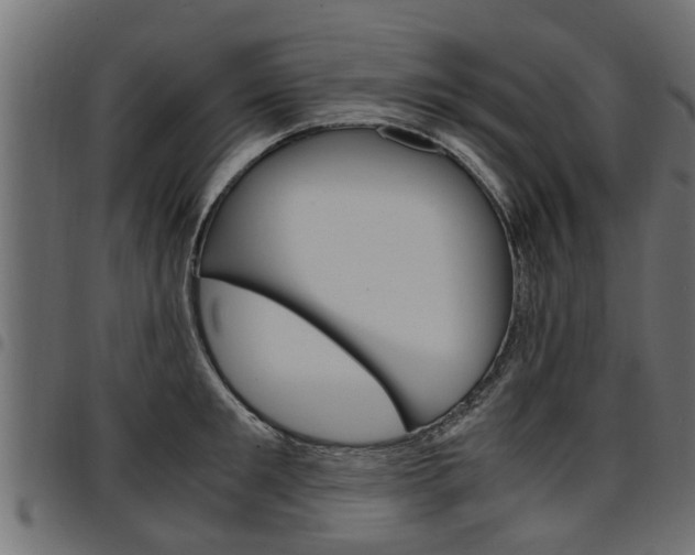 X0000094950901200711291102
